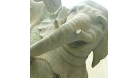 Roma, sfregio all'elefante del Bernini: la procura avvia un'indagine