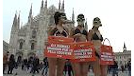 Milano, settimana della moda alle porte: la protesta delle donne-coccodrillo in Duomo