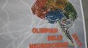 Cos'è il talamo?: a Bari sfida tra studenti per le Olimpiadi delle neuroscienze