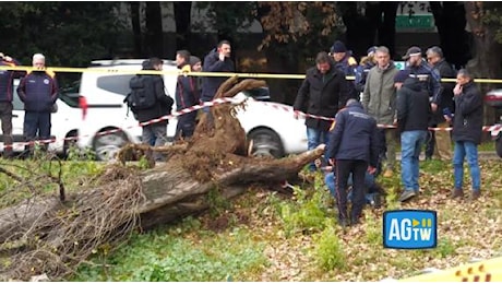 Roma, la rabbia dei residenti di Colli Aniene dopo la morte della madre di 3 figli uccisa da un albero: «Gualtieri dov'è?»