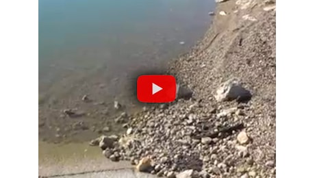 Meteo: Allarme siccità, in Sicilia si scavano nuovi pozzi alla ricerca di acqua, il Video