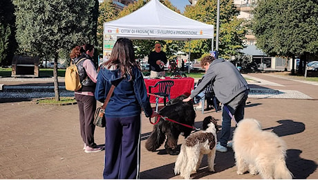 “Cani in città”, l’evento conquista il capoluogo: il calendario dei prossimi appuntamenti 