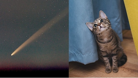 Perché C/2023 A3 è chiamata “cometa del secolo” e cosa c'entrano i gatti con questi oggetti celesti