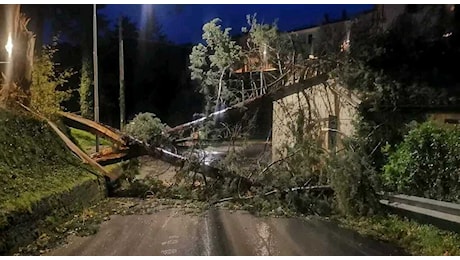 Forti raffiche di vento in tutte le Marche: danni a alberi, insegne e impalcature. Numerosi interventi nella notte ECCO COSA STA SUCCEDENDO