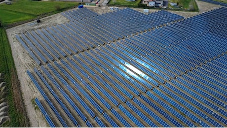Agrivoltaico come soluzione per salvaguardare clima, agricoltura ed economia. Ne parliamo con Gianluca Miccoli, CEO di AIEM