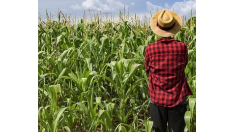 Economia: pronto il modello per gli investimenti nella Zona economica speciale per il Mezzogiorno