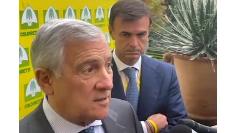 Libano, Tajani: mi auguro che il cessate il fuoco possa durare