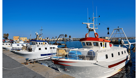 Federpesca: bene impegno del governo a difesa del settore pesca