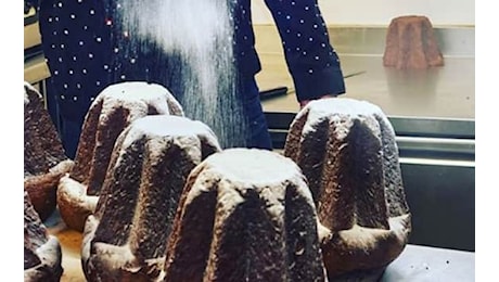 Il miglior Pandoro da comprare al supermercato nel 2024, ecco la classifica di Altroconsumo