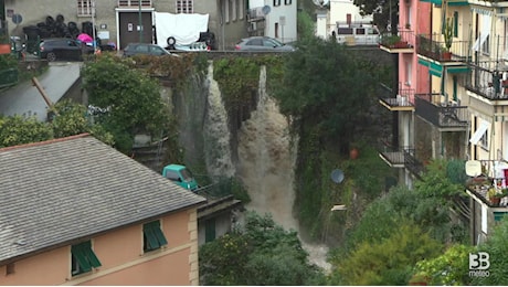 Cronaca meteo diretta - Maltempo Genova, il Rio Sonego alle porte di Recco in piena - Video