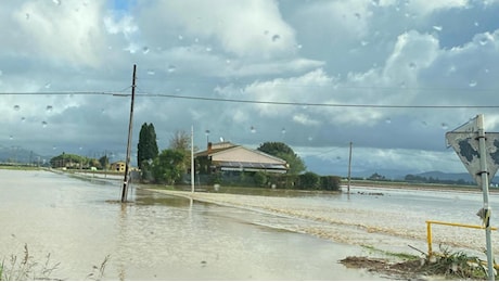 Maltempo in Toscana: “Le auto galleggiavano”, “sono ancora chiuso in casa prigioniero dell’acqua, non posso andare a lavorare”. Ecco le voci di chi sta vivendo l’ennesima emergenza