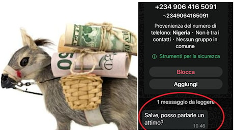 Salve, posso parlarle un attimo?, allarme truffa: il fenomeno del Money Muling su WhatsApp. Come funziona e come difendersi