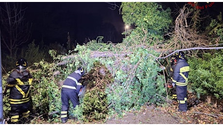 Maltempo Italia: vento forte e pioggia. Alberi crollati e danni dalle Marche alla Calabria. La situazione