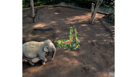 La Befana al Bioparco di Roma