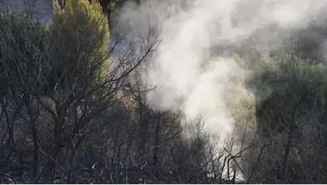 Travolto da albero mentre spegne un incendio: morto un 60enne
