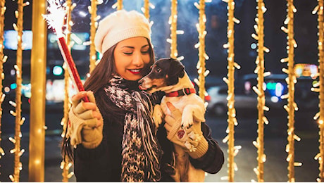 Botti di Capodanno: come mettere al sicuro i propri animali