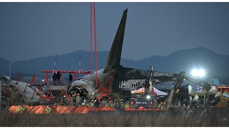 Incidente aereo Corea del Sud, la catena di errori: uccelli segnalati all'ultimo, il collasso dei sistemi idraulici e il muro