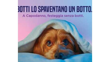 'Capodanno senza botti': la campagna del Comune di Roma per non spaventare cani e gatti