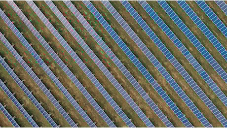 I sistemi conservoltaici tra energia verde, biodiversità e incentivi