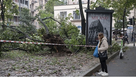 Paura in centro a Milano, albero crolla sui passanti: due in ospedale