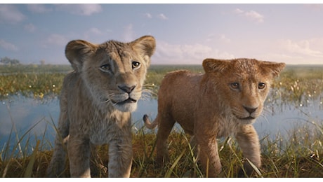 Mufasa – Il re leone sempre al primo posto – Il box office di venerdì 20 dicembre