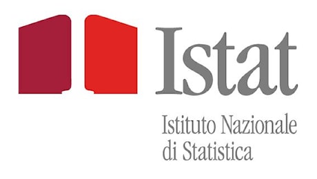 Inflazione, Istat, agosto +1,1% su anno