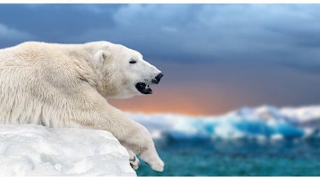 Ghiaccio Polo Nord, situazione peggiore del previsto per un fatto nuovo