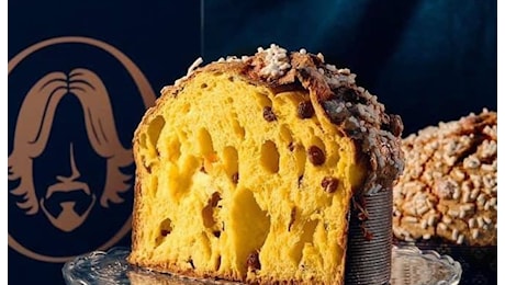 Panettone d’Artista a Salerno: degustazioni, masterclass e laboratori per il dolce artigianale