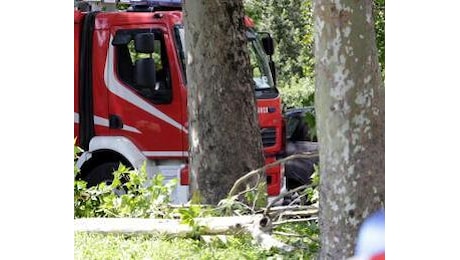 Roma, cade albero: morta una donna