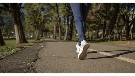Sessantacinquenne violentata mentre fa jogging nel Modenese, fermato un 17enne