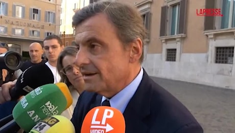 Calenda contro Tavares: Ca nisciun è fess