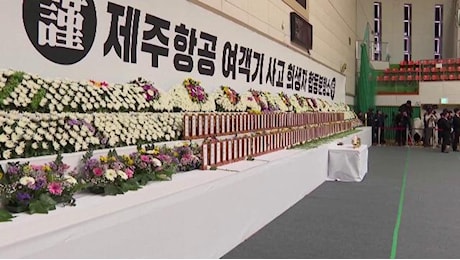 Fiori bianchi per le vittime dell'incidente aereo: il memoriale in Corea del Sud