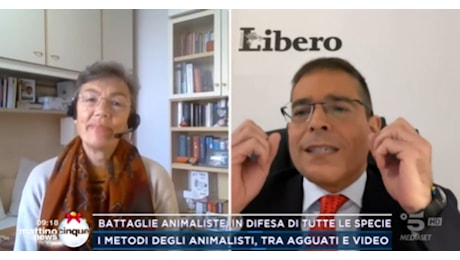 Pomeriggio 5, l'animalista delira e Capezzone la infilza: Polpo maltrattato? E allora Babbo Natale...