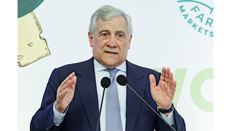 Il ministro Tajani dice che sarebbe favorevole a sciogliere CasaPound