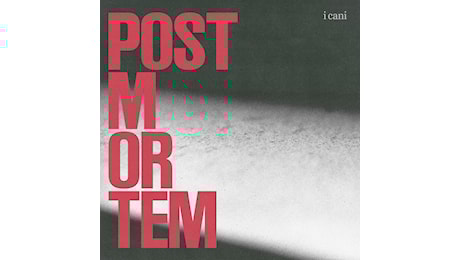 I Cani: post mortem recensione