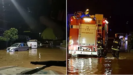 Maltempo in Veneto: allagamenti, alberi abbattuti e danni d’acqua. Aggiornamenti