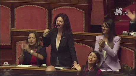 Bagarre in Senato sulla gravidanza surrogata, Pirro (M5s): I colleghi arrivati dal Medioevo dicono che l'utero non è mio