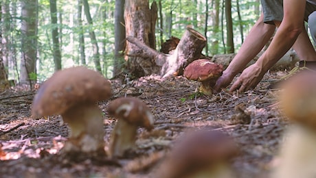 Soccorso a un altro cercatore di funghi, stavolta non c’è lieto fine: muore 57enne