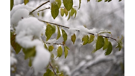 Dove nevicherà sull’Italia nel weekend, le previsioni meteo di oggi e domani: le zone coinvolte