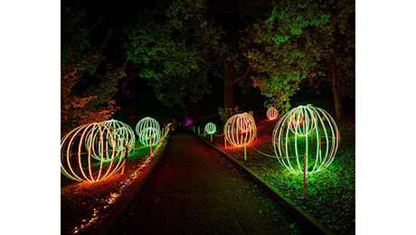 Mostre, prosegue fino al 12 gennaio ‘Trame di luce’ all’Orto Botanico di Roma