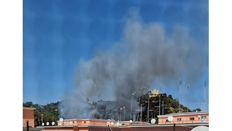 Incendio a Roma: fiamme in area verde vicino alla città giudiziaria, alta colonna di fumo