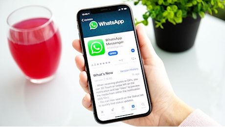 WhatsApp introduce un nuovo trucco per le chiamate di gruppo: ecco come usarlo e altre novità