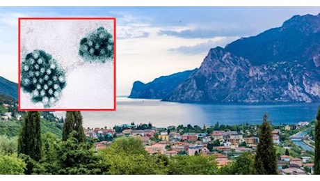 Emergenza gastroenterite sul Garda: 900 casi e tracce di norovirus