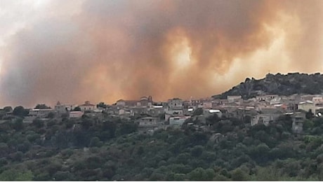 Incendio a Orotelli, drammatica conta dei danni: morti 300 capi ovini