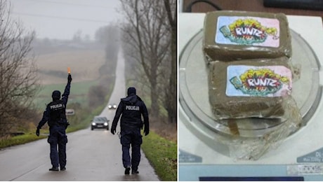 Il 30enne italiano arrestato in Russia con 170 grammi di hashish: «Nascosti in moto tra le noci». Rischia fino a 20 anni di carcere