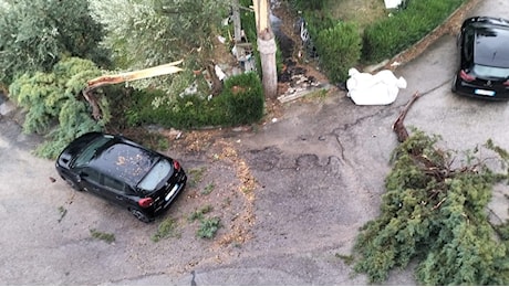 Tempesta di vento fra Abruzzo e Molise: tanti danni e disagi, treni bloccati sulla Sulmona-Pescara