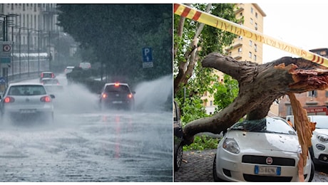 Bomba d'acqua a Roma, quanto durerà? Oggi allerta meteo arancione. Rami e alberi caduti in città