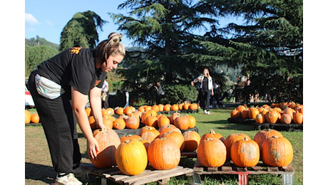 HALLOWEEN: DA INCUBO PER LE ZUCCHE NOSTRANE, SPARITA 1 SU 4 TRA MALTEMPO ED EVENTI ESTREMI