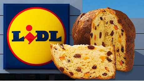 Panettone LIDL, qualcuno ci casca davvero | Svelato chi lo produce: te lo buttano nel carrello a pochi spicci