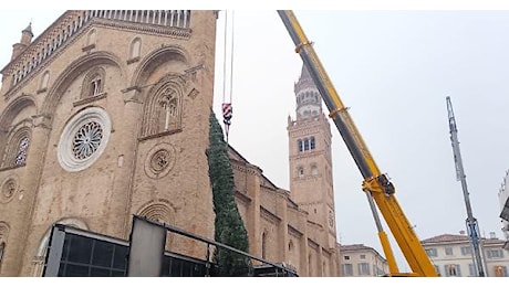 Arriva l'albero di Natale in piazza Duomo